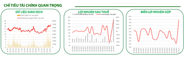 Các chỉ tiêu tài chính quan trọng của GEG