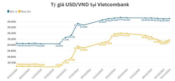 Thị trường chứng khoán Việt Nam năm 2025: Rủi ro, thách thức và linh hoạch ứng biến