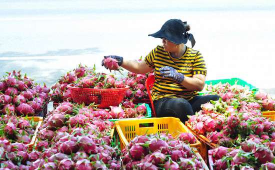 Ảnh bài viết