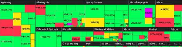 phân bổ dòng tiên 3006