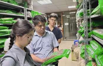 Bộ Y tế tăng cường giám sát thị trường dược phẩm, mỹ phẩm