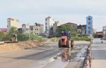 Ảnh bài viết