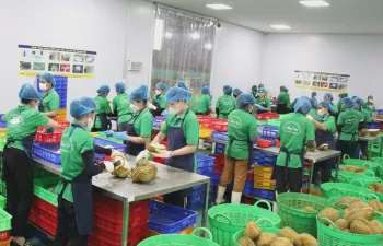 Doanh nghiệp ghi nhận các chính sách hỗ trợ tận dụng FTA