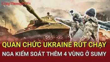 Ảnh bài viết