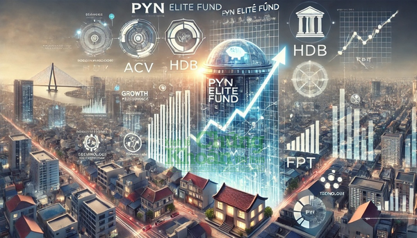 Đầu tư vào thị trường chứng khoán Việt Nam: Cơ hội tăng trưởng nhìn từ Pyn Elite Fund