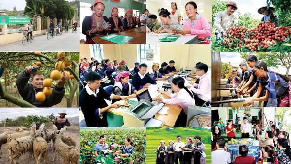chính sách xã hội