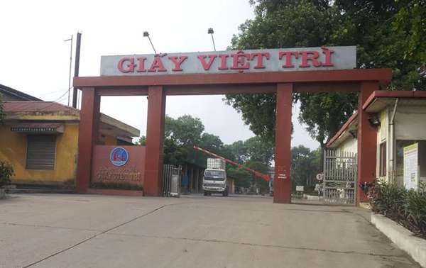 Giấy Việt Trì (GVT) dự chi 41 tỷ đồng trả cổ tức bằng tiền mặt năm 2022