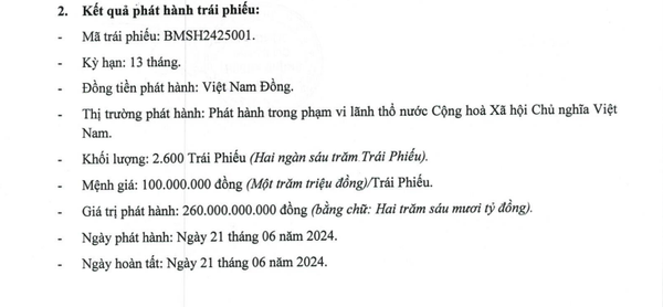 Gọi vốn trái phiếu gấp trước ngày đáo hạn ngân hàng, ai đang nắm giữ Chứng khoán Bảo Minh?