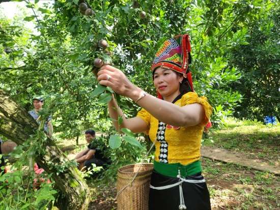 Ảnh bài viết