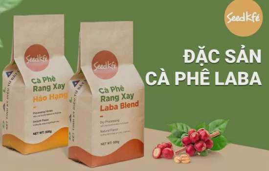 Dự báo giá cà phê ngày mai 23/1/2025 tiếp tục tăng