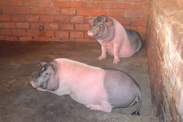 heo15.jpg