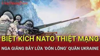 Ảnh bài viết