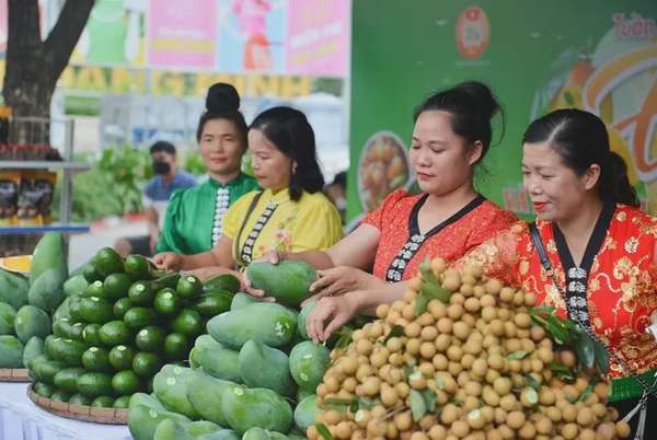 Ảnh bài viết