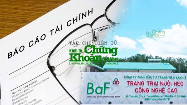 Cổ phiếu BAF hưởng niềm vui chung của ngành, doanh nghiệp đang làm ăn ra sao?