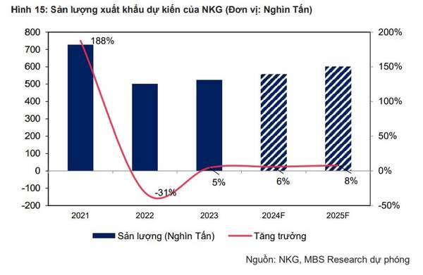 Đo độ hấp dẫn và tiềm năng tăng giá của Thép Nam Kim (NKG)