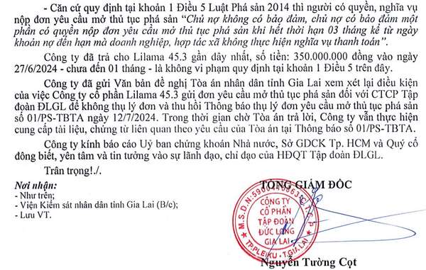 Đức Long Gia Lai lại bị chủ nợ yêu cầu mở thủ tục phá sản, cổ phiếu DLG lập tức 