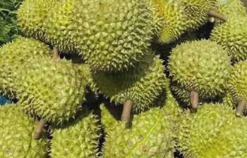 Ảnh bài viết