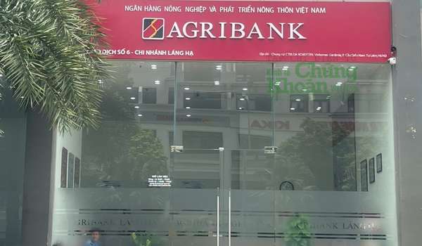 Agribank rao bán 6 lô đất của một doanh nghiệp để thu hồi công nợ