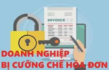 Đồng Nai: Cưỡng chế thuế Công ty TNHH Hoàng Phúc Wind