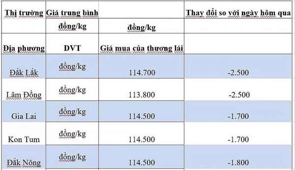 Giá cà phê hôm nay 5/10/2024: Giảm sâu 2.500 đồng/kg tại nhiều địa phương