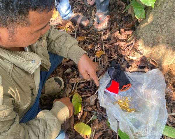 Lâm Đồng: Trộm đột nhập lấy đi 5,4 cây vàng đem chôn trong vườn cà phê