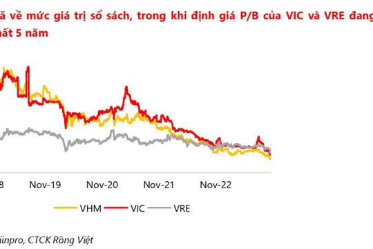 Ảnh bài viết