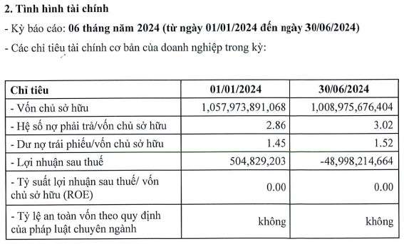 Thương mại và Dịch vụ Danh Việt báo lỗ đột biến, phải xoay xở hơn 4.500 tỷ đồng đáo hạn 8 lô trái phiếu trong tháng 8