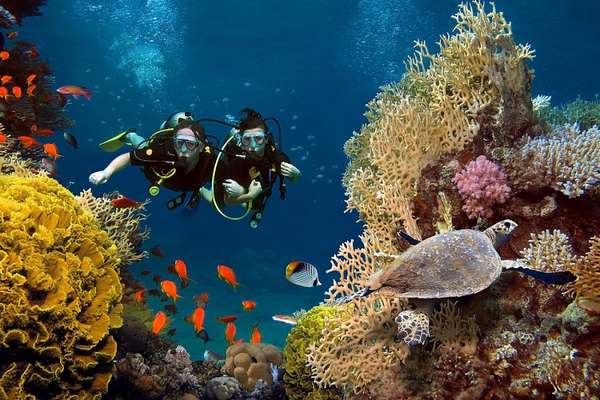 San hô ở biển Maldives tuyệt đẹp, không cần bơi xa quá 100m là có thể tận mắt ngắm các loài cá sặc sỡ giữa những nhánh san hô đủ màu