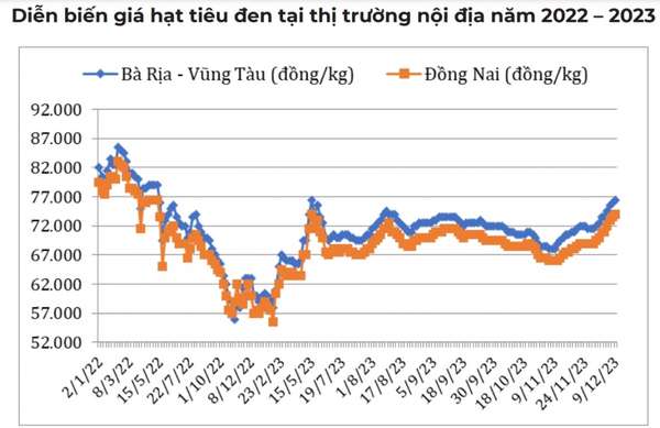 Lý do giá tiêu trong nước đang tăng ngược thị trường thế giới?