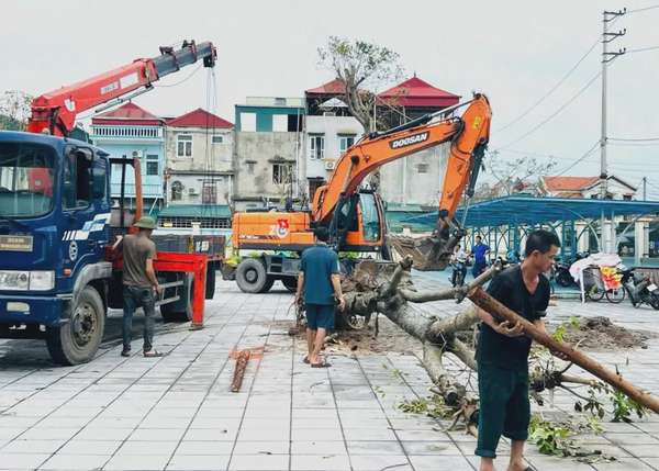 Ảnh bài viết