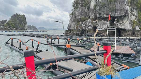 Ảnh bài viết