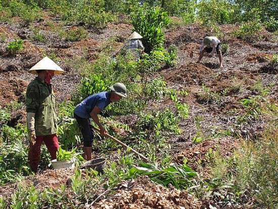 Ảnh bài viết