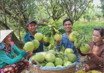Hàng Việt chinh phục thị trường Anh bằng tên gọi quê hương