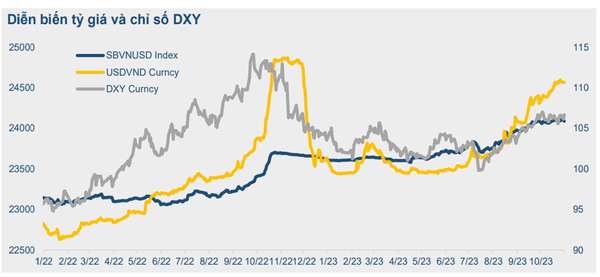 dxy.jpg