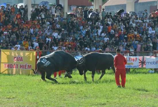 Ảnh bài viết