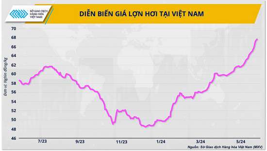 3 giải pháp cho ngành chăn nuôi vững đà tăng trưởng năm 2024