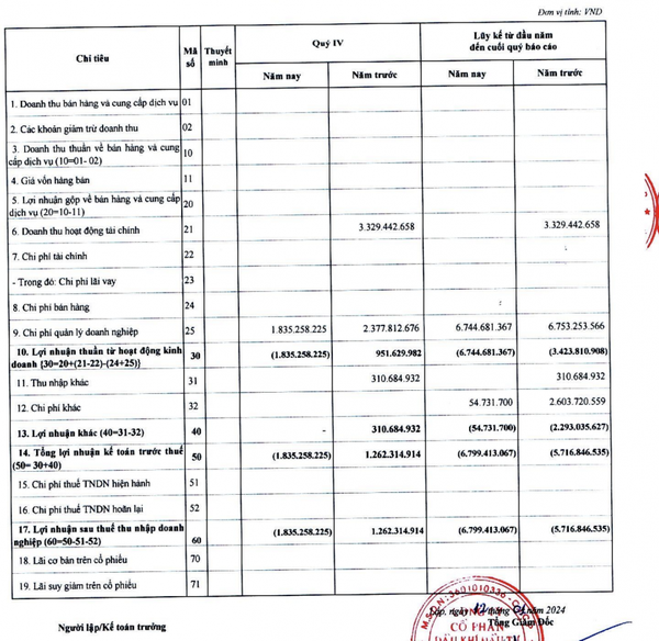 Năm 2023, chủ cảng Phước An quy mô 17.000 tỷ đồng “trắng” doanh thu, vẫn lên kế hoạch tăng vốn