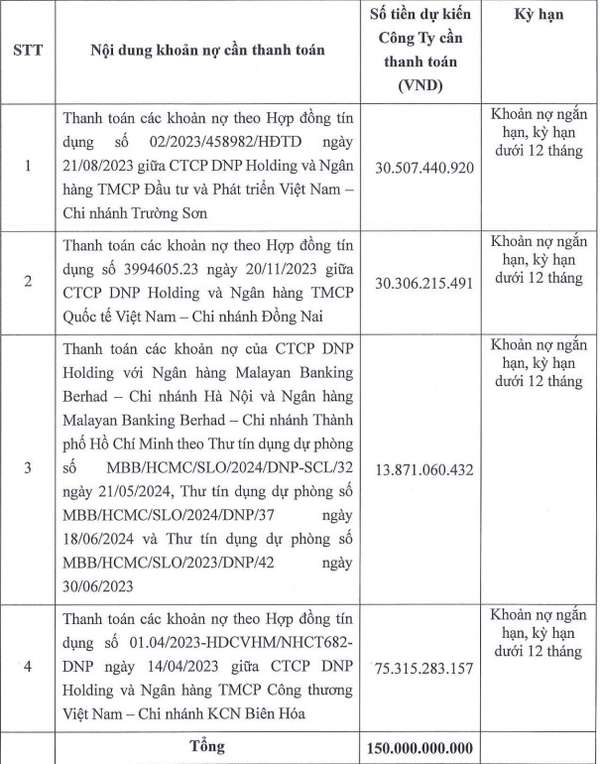 DNP Holding phát hành 200 tỷ đồng trái phiếu để cơ cấu nợ ngân hàng