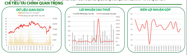 Các chỉ tiêu tài chính quan trọng của PVS