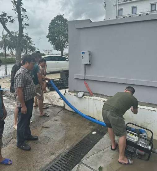 Ngành Hải quan chỉ đạo công tác đảm bảo điều kiện thông quan thông suốt tại Hải Phòng và Quảng Ninh