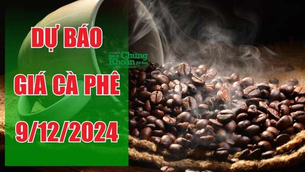 Dự báo giá cà phê ngày 9/12/2024: Tiếp tục tăng hay dừng lại?