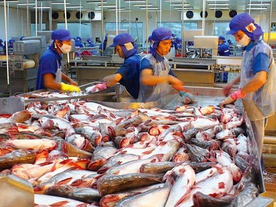 Thêm 23 doanh nghiệp thủy sản được Trung Quốc chấp thuận xuất khẩu