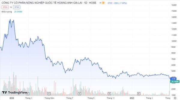Cổ phiếu HNG: Đường về mệnh giá còn xa