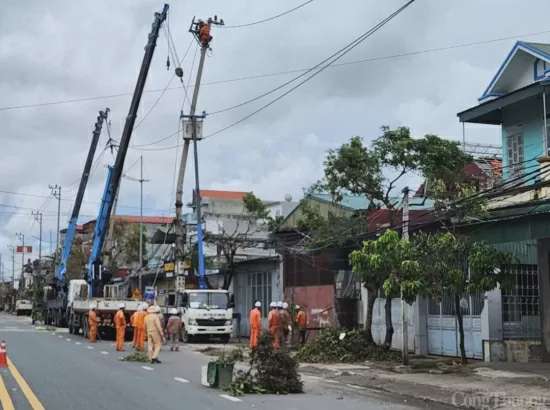 Ảnh bài viết