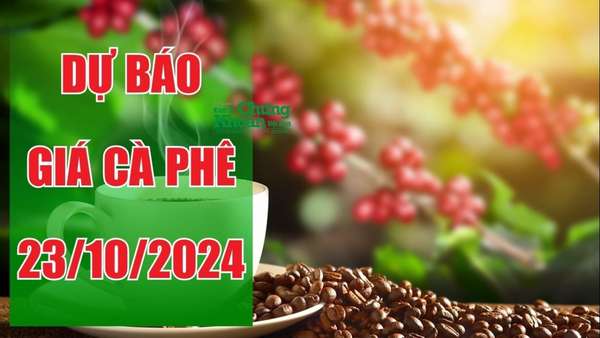 Dự báo giá cà phê ngày 23/10: Tiếp tục giảm khi áp lực từ thời tiết và tỷ giá đồng USD gia tăng