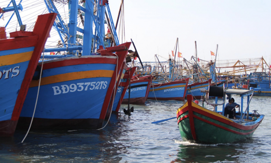 EC lùi thời gian thanh tra 'thẻ vàng' IUU đến cuối năm
