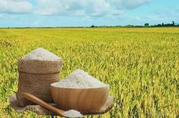Ảnh bài viết