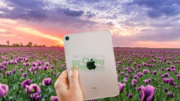 Bảng giá iPad Mini mới nhất tháng 9/2023: Nhỏ mà có võ