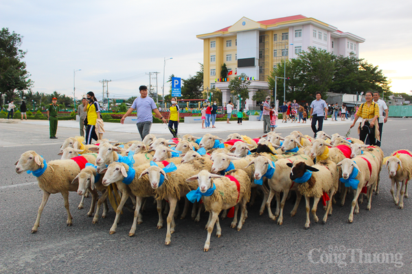 Ảnh bài viết