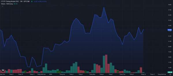 Diễn biến giá cổ phiếu DSC